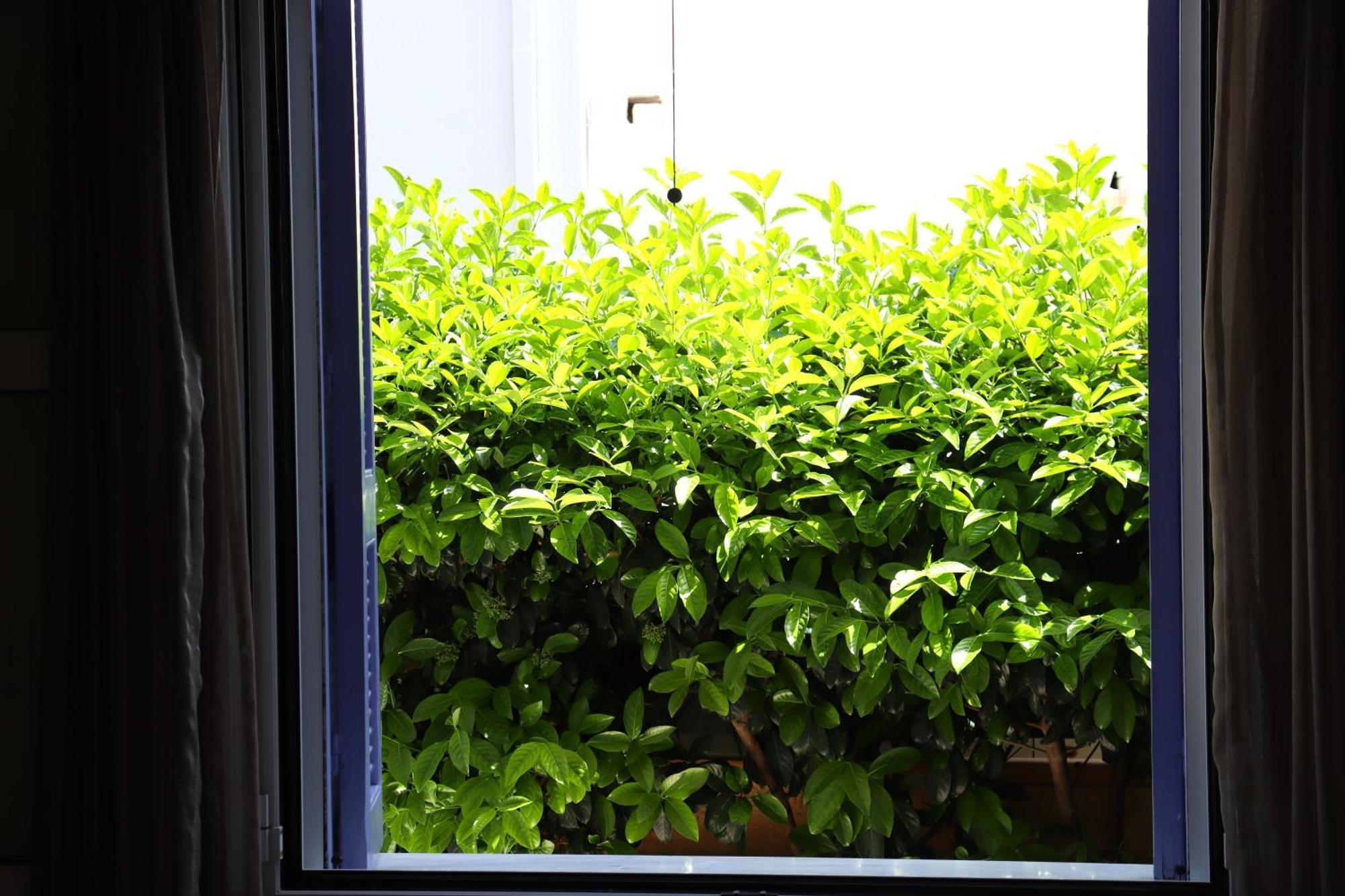 Barbara's Apartment Rhodes City